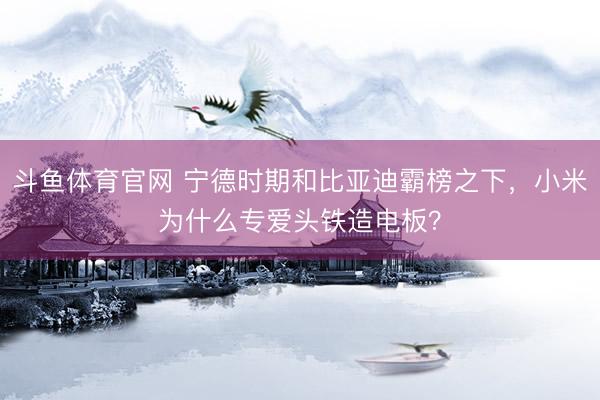斗鱼体育官网 宁德时期和比亚迪霸榜之下，小米为什么专爱头铁造电板？