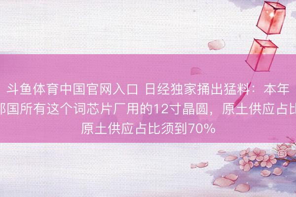 斗鱼体育中国官网入口 日经独家捅出猛料：本年年底前，邻国所有这个词芯片厂用的12寸晶圆，原土供应占比须到70%