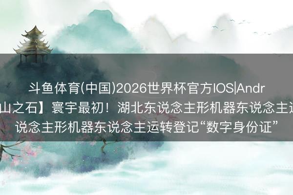 斗鱼体育(中国)2026世界杯官方IOS|Android手机app下载 【他山之石】寰宇最初！湖北东说念主形机器东说念主运转登记“数字身份证”