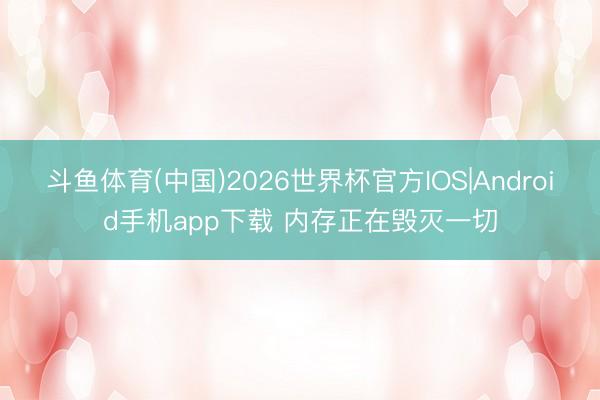 斗鱼体育(中国)2026世界杯官方IOS|Android手机app下载 内存正在毁灭一切