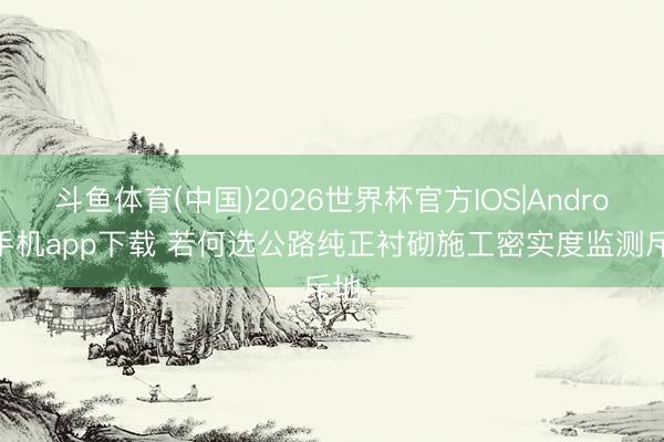 斗鱼体育(中国)2026世界杯官方IOS|Android手机app下载 若何选公路纯正衬砌施工密实度监测斥地