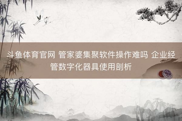 斗鱼体育官网 管家婆集聚软件操作难吗 企业经管数字化器具使用剖析