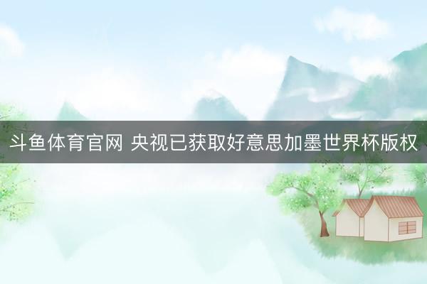 斗鱼体育官网 央视已获取好意思加墨世界杯版权