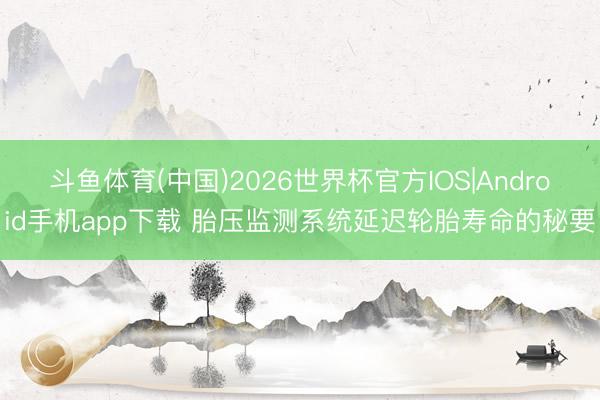 斗鱼体育(中国)2026世界杯官方IOS|Android手机app下载 胎压监测系统延迟轮胎寿命的秘要