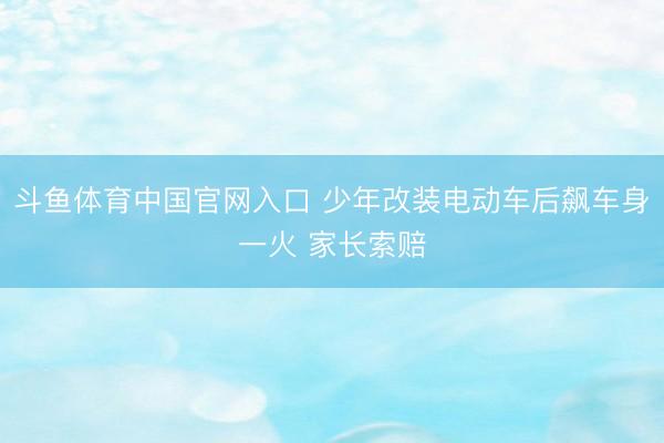 斗鱼体育中国官网入口 少年改装电动车后飙车身一火 家长索赔