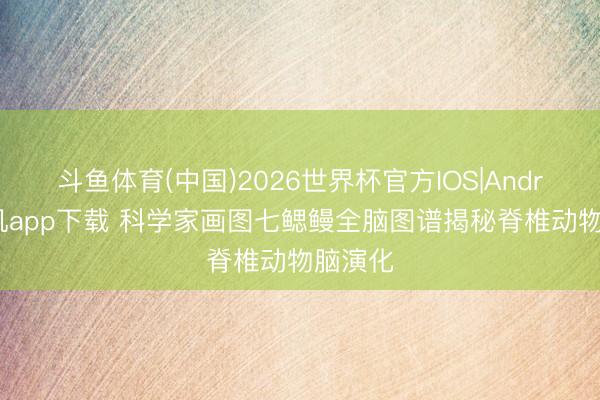 斗鱼体育(中国)2026世界杯官方IOS|Android手机app下载 科学家画图七鳃鳗全脑图谱揭秘脊椎动物脑演化
