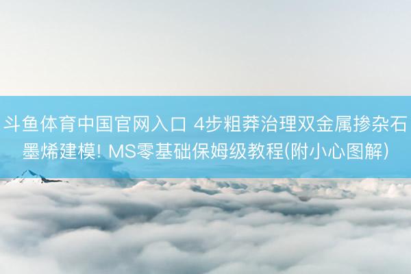 斗鱼体育中国官网入口 4步粗莽治理双金属掺杂石墨烯建模! MS零基础保姆级教程(附小心图解)
