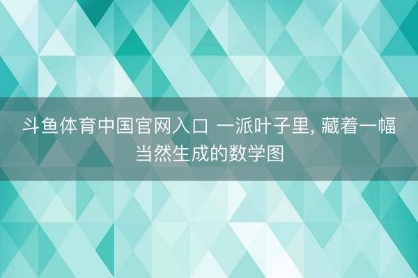 斗鱼体育中国官网入口 一派叶子里， 藏着一幅当然生成的数学图